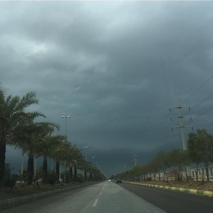 استان بوشهر؛ باران پراکنده در ۵ روز آینده