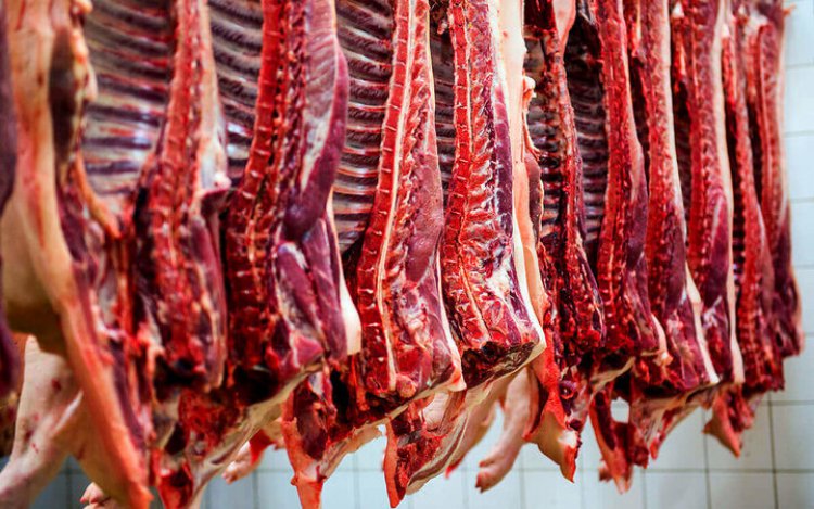 ماجرای واردات گوشت حرام به کشور
