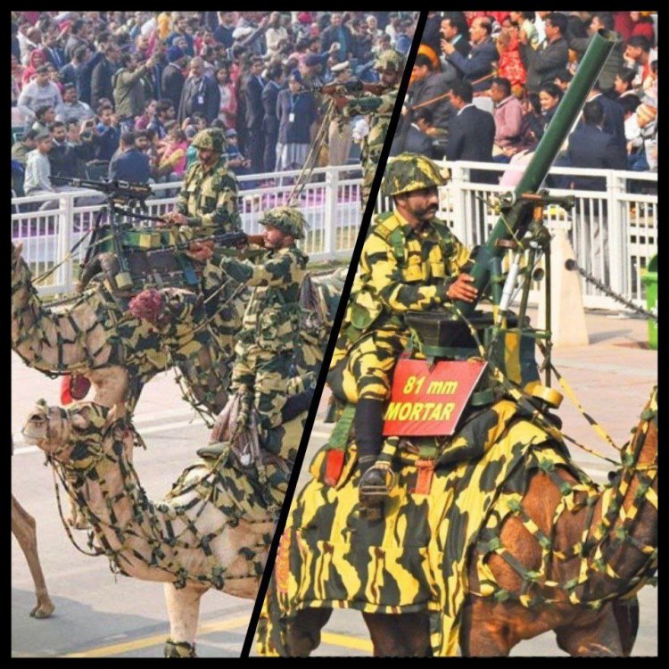 عکس | ادوات باورنکردنی ارتش زمینی هند: شتر مجهز به خمپاره‌انداز!