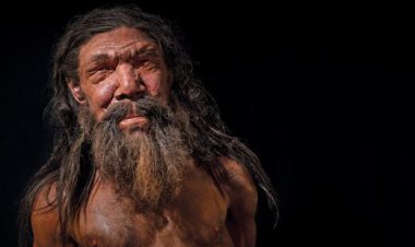 کشف عجیب درباره انتخاب همسر از نئاندرتال‌ها تا انسان پیشرفته امروز!