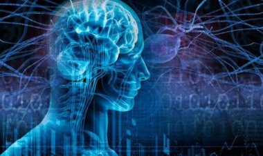 راهی برای افزایش سه برابر قدرت یادگیری مغز