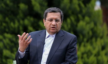 توصیه مهم همتی به دولت درباره بازار ارز