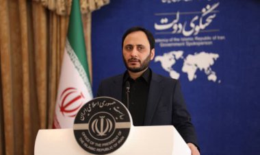 توضیحات سخنگوی دولت درباره دلایل رشد تورم   