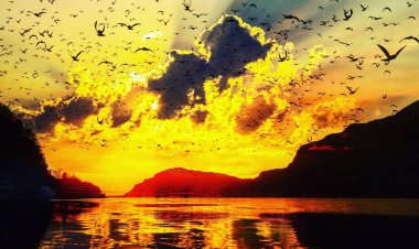 فیلم| غروب جادویی خورشید در نروژ