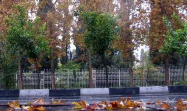 برف و باران برخی مناطق فارس را فرا می‌گیرد