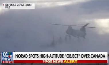 ببینید | سومین پرنده ناشناس در آسمان آمریکا