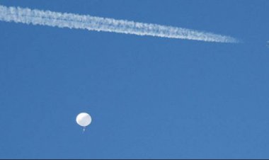 یک پرنده ناشناس هم در آسمان چین مشاهده شد