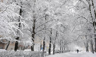 تهران یخ می‌زند