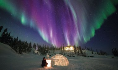 فیلم| تصاویری زیبا و آرامشبخش از شفق قطبی