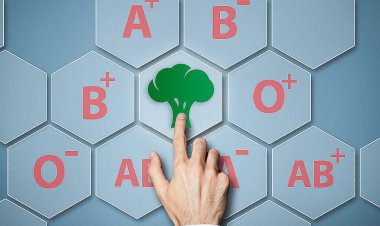 آیا رژیم غذایی گروه خونی مفید است؟