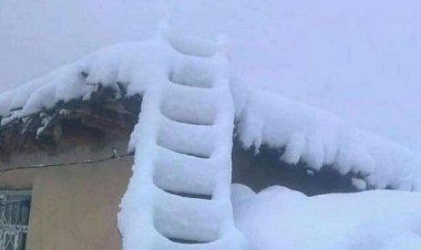 بارش سنگین برف و کولاک مراکز تفریحی و گردشگری سپیدان را تعطیل کرد