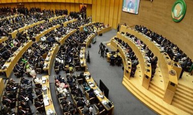 اخراج هئیت اعزامی رژیم صهیونیستی از نشست اتحادیه آفریقا!