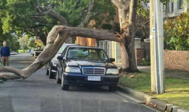 عکس | خوش‌شانسی اگر عکس بود، همین تصاویر بی‌نظیر بود