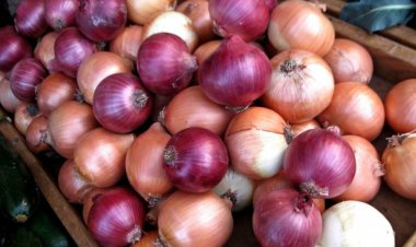 رقابت پیاز و ارز!
