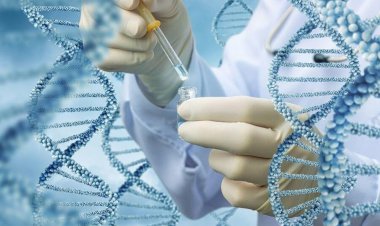 علت ۴۴ درصد معلولیت‌ها ژنتیکی است