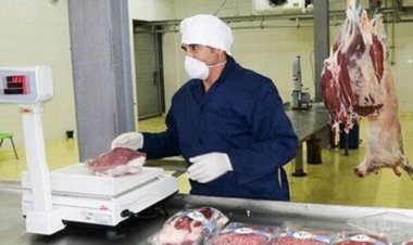 آغاز برخورد با گرانفروشی گوشت