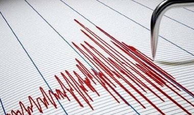 استان فارس دوباره لرزید