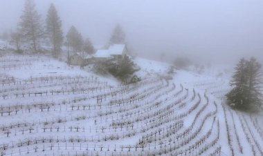 عکس| بارش سنگین برف در لس آنجلس پس از 33 سال!