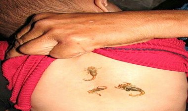 کودک عقربی، یک شایعه کهنه