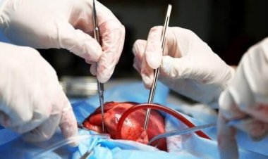 ببینید| انجام موفقیت آمیز یکی از پیچیده‌ترین جراحی‌های قلب در شیراز