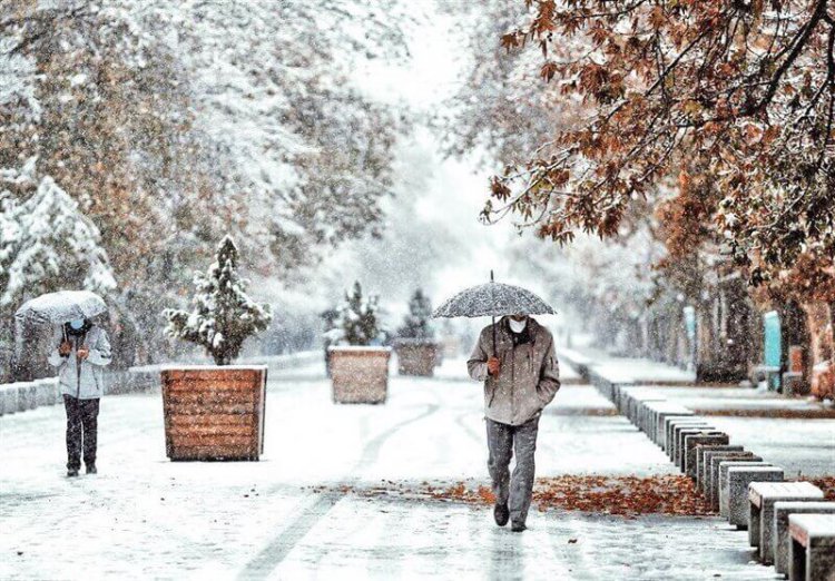بارش برف و باران در تهران/ کاهش نسبی دما