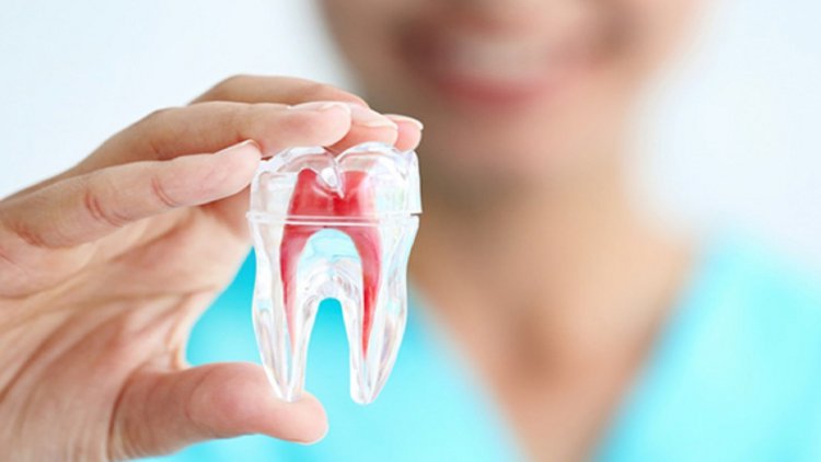 مواد غذایی مفید برای دندان‌ها را بشناسیم