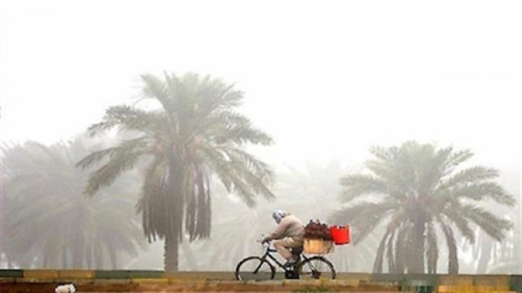 هوا در بوشهر سردتر می‌شود