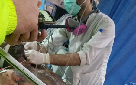 چهارشنبه سوری نیامده در آذربایجان تلفات داد