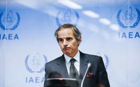 مدیر کل آژانس اتمی  وارد تهران شد