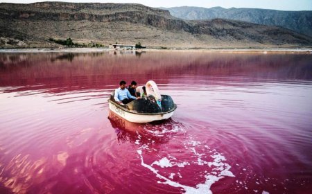 ببینید | نمای هوایی و دیدنی از دریاچه صورتی مهارلو