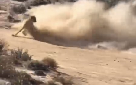 ببینید | سرعت خارقالعاده یوزپلنگ هنگام شکار