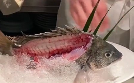 ببینید | ویدئوی باورنکردنی از سرو ماهی زنده در رستوران چینی!