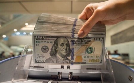 اخطار رئیس اتاق بازرگانی ایران و چین به ذخیره‌کنندگان دلار