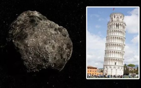 برای ولنتاین ۲۰۴۶ برنامه‌ریزی نکنید!