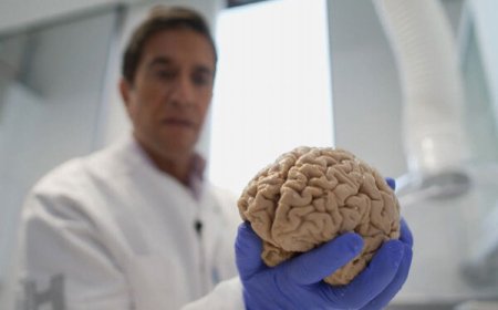 حقیقت داشت؛ ۱۰هزار مغز انسان در زیرزمین!