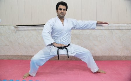 بیشتر رشته‌های ورزشی فارس از بی‌حمایتی آسیب دیده‌اند