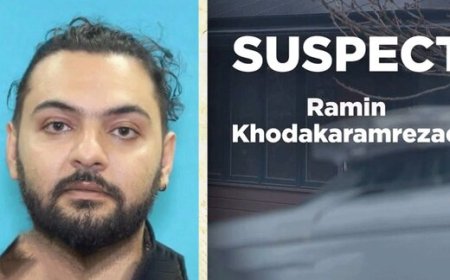 ببینید | قتل زوج ایرانی در واشنگتن توسط یک هموطن!