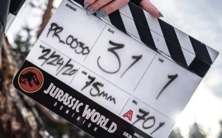 زلاتان و مرد خاکستری به تلویزیون می‌آیند