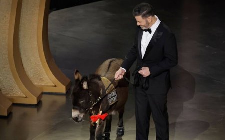 ببینید | حضور متفاوت مجری اسکار روی صحنه