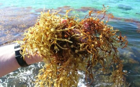 توده‌ای عظیم نزدیک می‌شود، از فضا هم معلوم است!