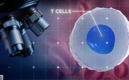 کرونا سرطان را درمان می‌کند