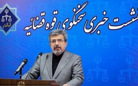 سخنگوی قوه قضاییه: در مورد مسمومیت مدارس: بهتر است از کلمه بدحالی استفاده کنیم