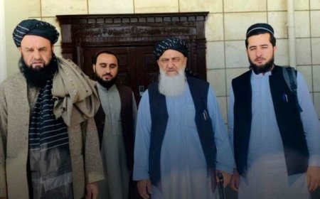 یک هیات از طالبان به ایران سفر کرد 