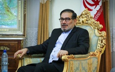 شمخانی برای حل چند پرونده مهم به یک کشور عربی می‌رود