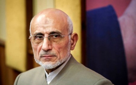 ببینید| وزیر ارشاد اسبق ادعا می‌کند پرویز پرستویی را نمی‌شناسد!