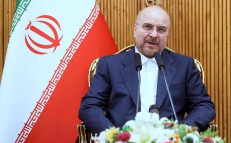 قالیباف: مجلس حقوق سربازان مجرد را افزایش داد