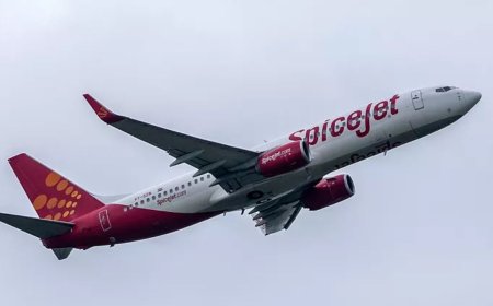 دو خلبان هندی با انتشار این عکس از کار تعلیق شدند