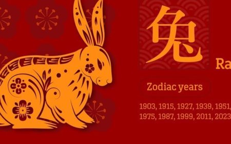 پیش بینی طالع بینی چینی: چه چیزی برای سال خرگوش در انتظار شماست؟