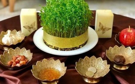 عکس| سفره هفت سین ایران در سازمان ملل