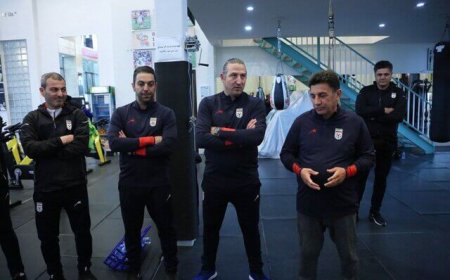 تیموریان دستیار  قلعه‌نویی شد